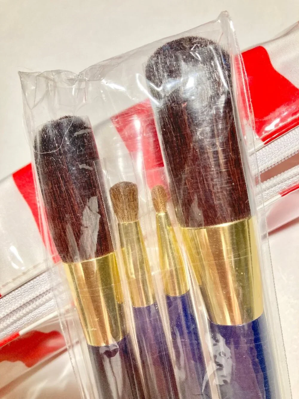 Estee Lauder Cosmetic Brush Kit with Carrying Case